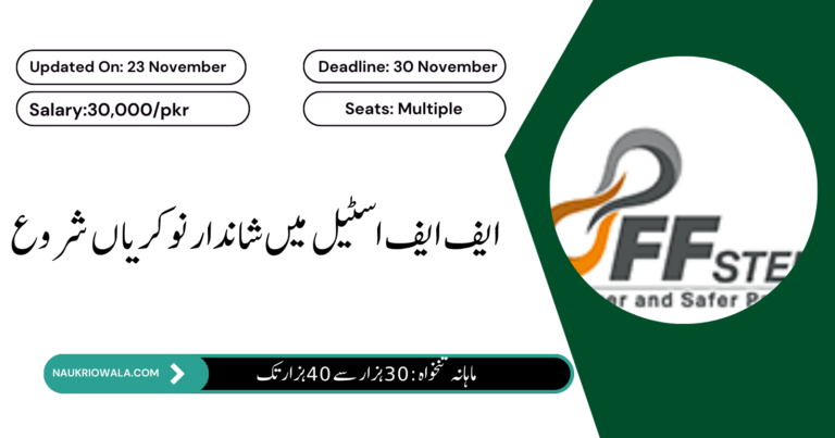 FF Steel Internship Jobs